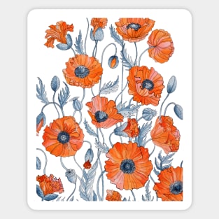 Red Poppies Magnet